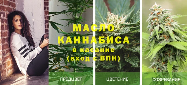 стаф Каменногорск