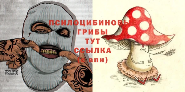 хмурый Кинешма