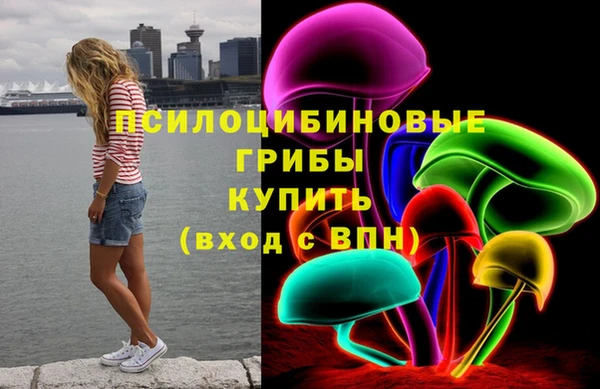 ECSTASY Киреевск
