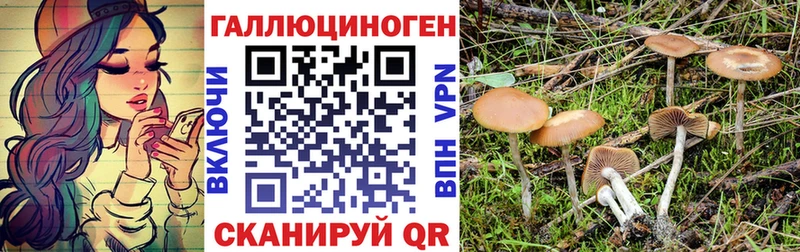 Галлюциногенные грибы Psilocybe omg зеркало Кудрово