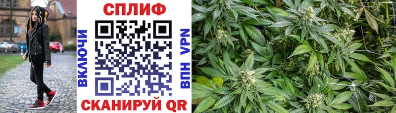 Бошки Шишки индика Кудрово